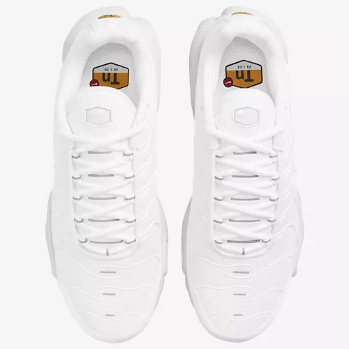Air Max Plus
