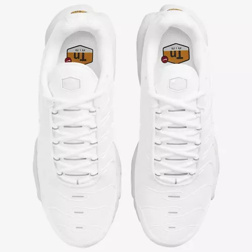 Air Max Plus