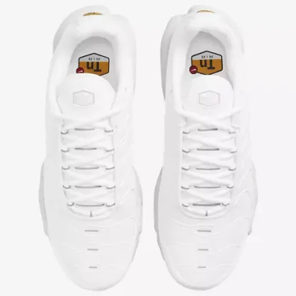 Air Max Plus