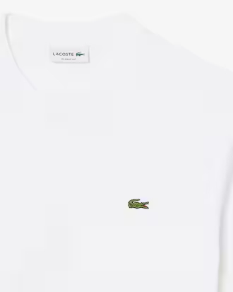 Men's Cotton T-Shirt