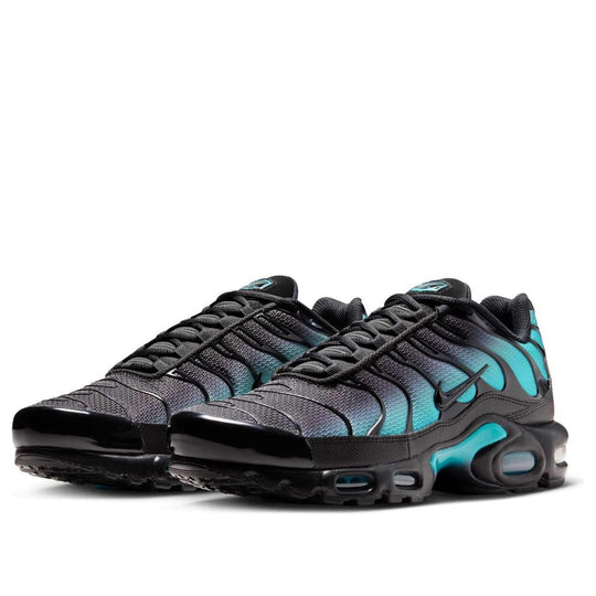 Nitheke Air Max Plus 'Black Dusty Cactus'