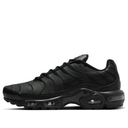 Nitheke Air Max Plus