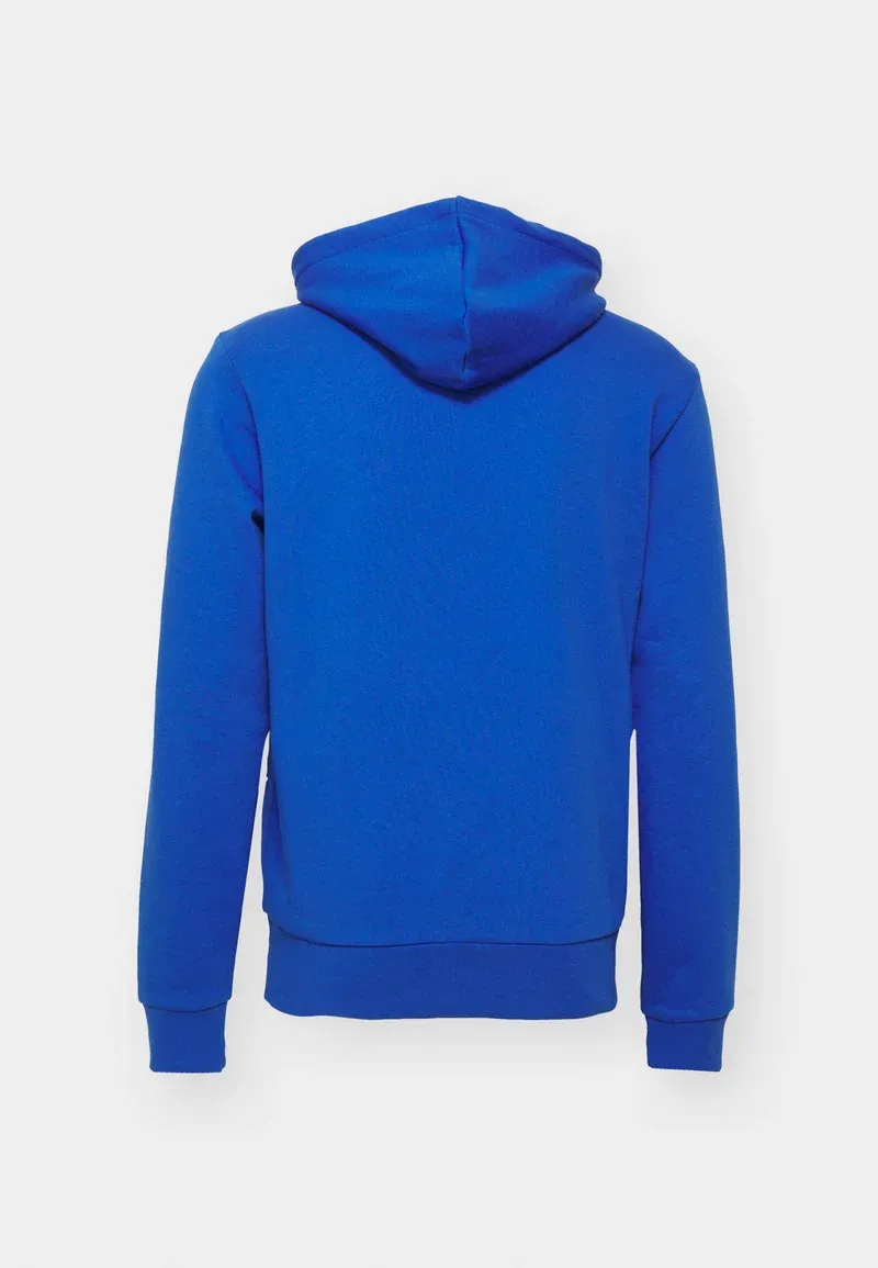 LIFESTYLE UNISEX - Sweat à capuche - ladigue