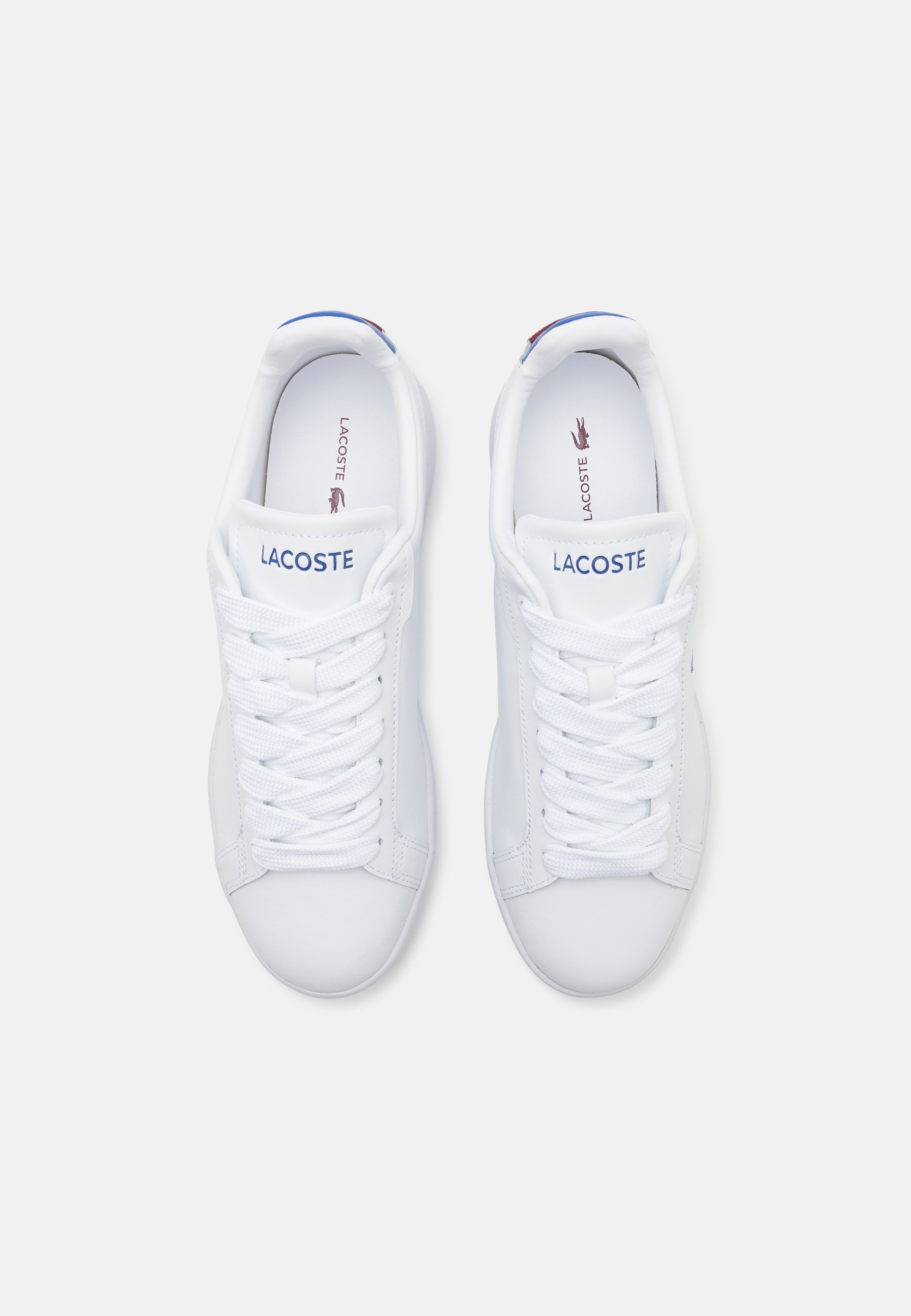 CARNABY PRO - Baskets basses