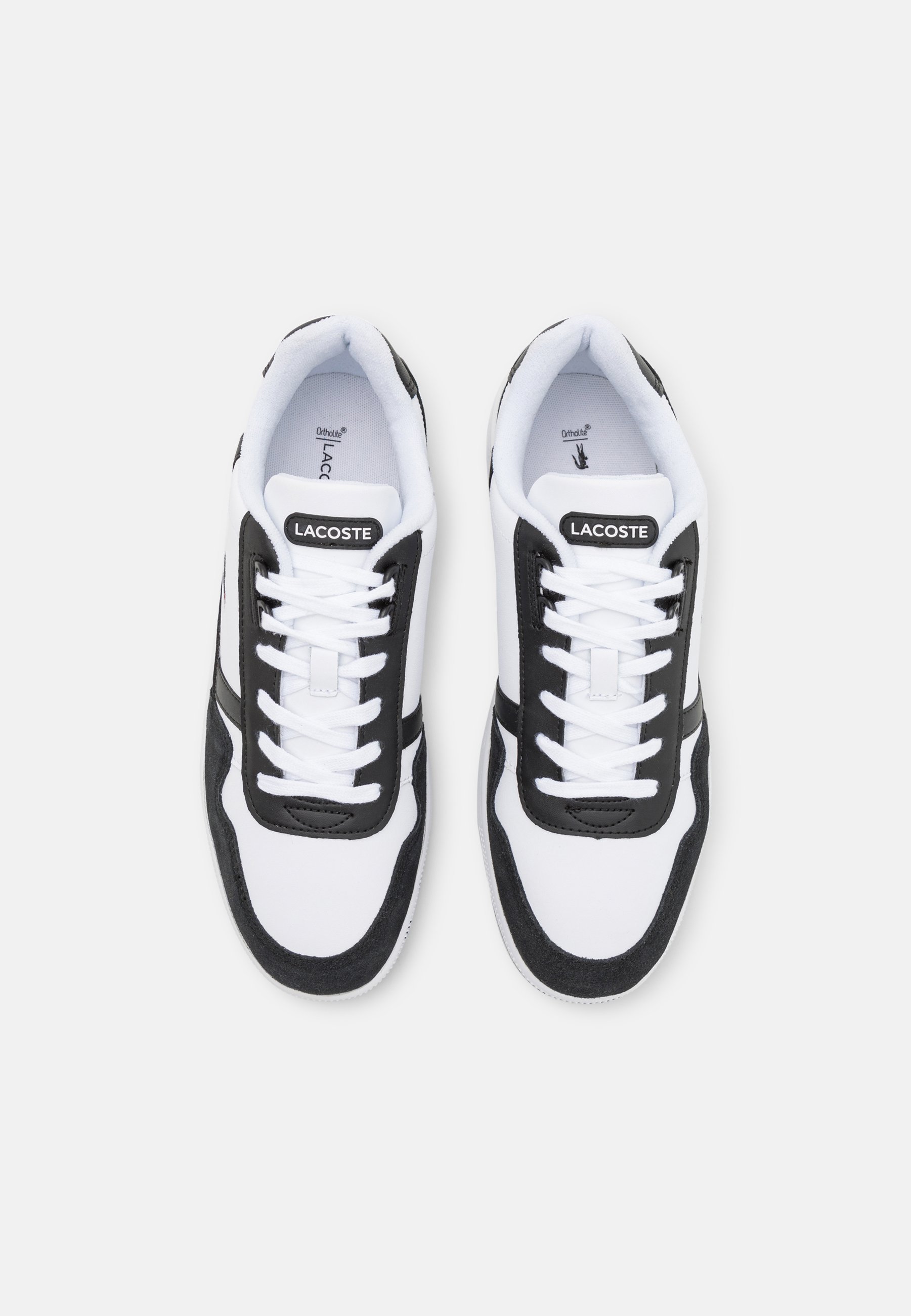 T-CLIP - Baskets basses