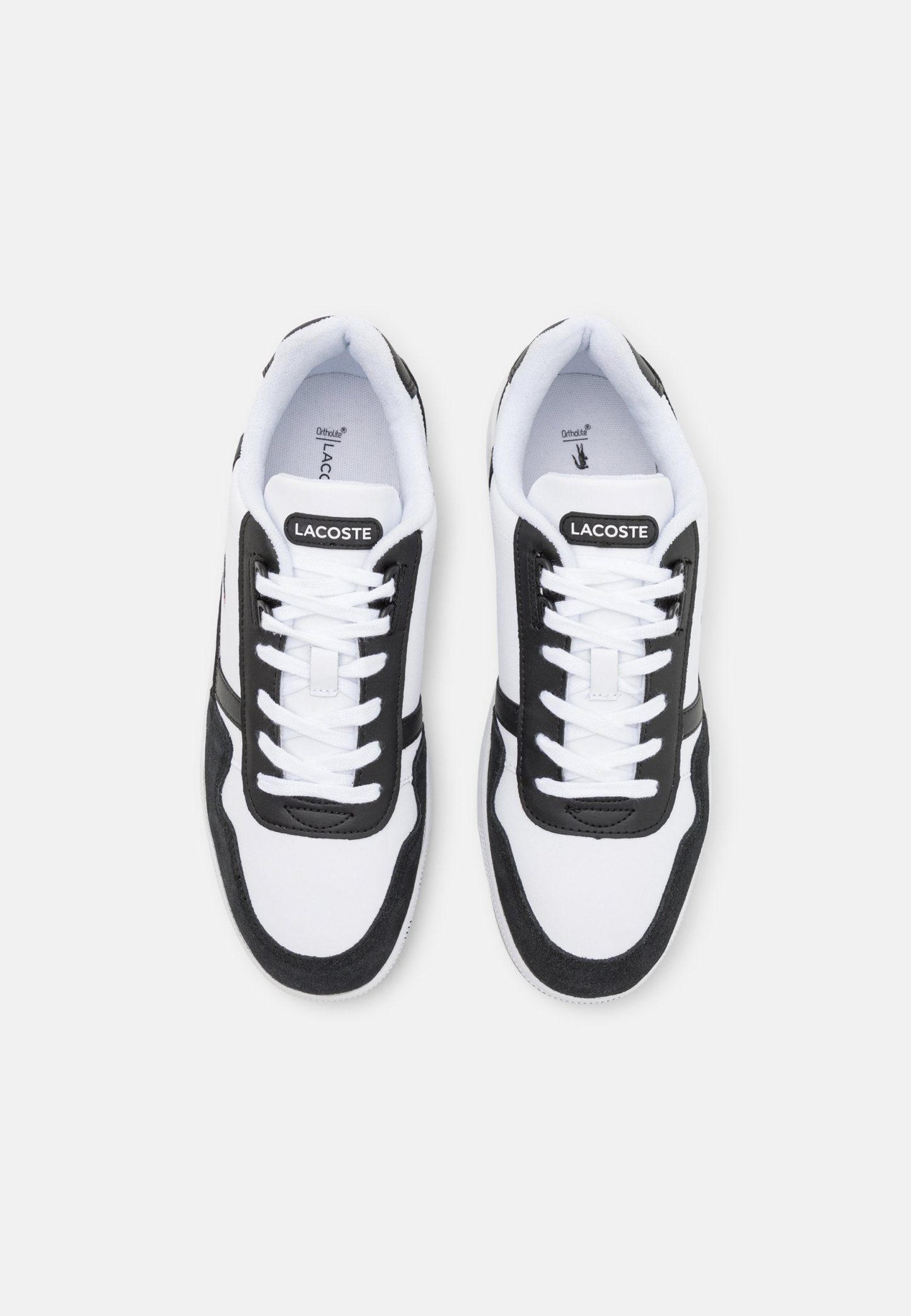 T-CLIP - Baskets basses