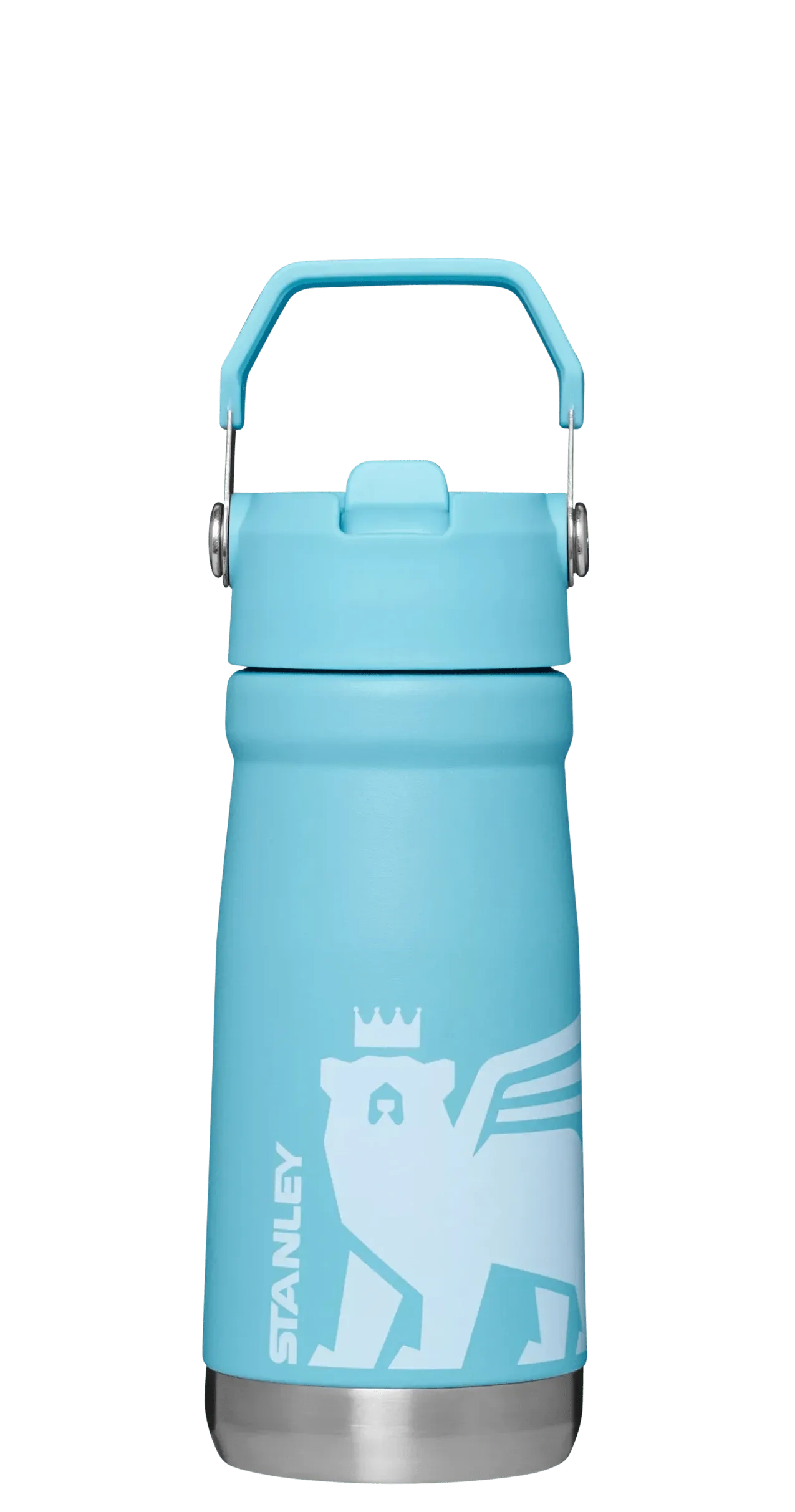 The Wild Imagination IceFlowTM Flip Straw Water Bottle | 17 OZ