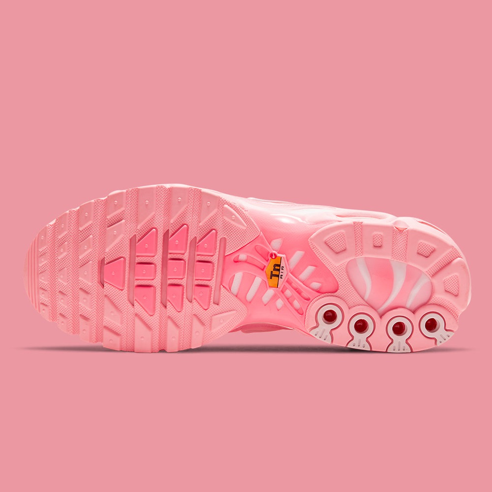 Air Max Plus