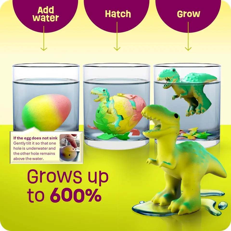 🦖 Water Activated Dinosaur Hatching Surprise Eggs🌊