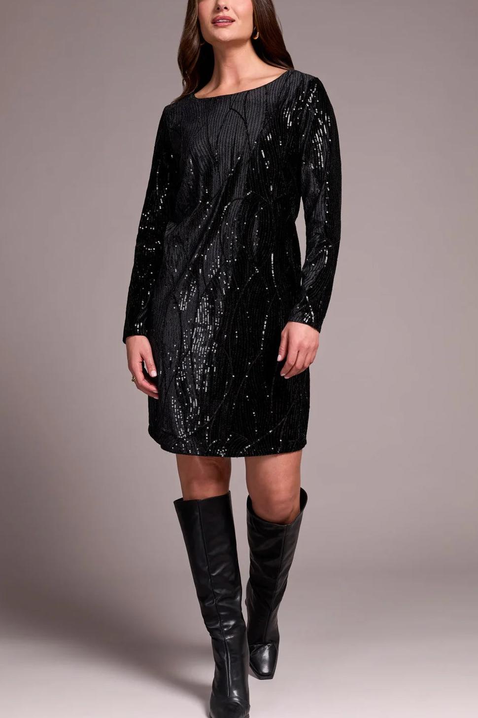 Sequin Velvet Lined A-Line Dress