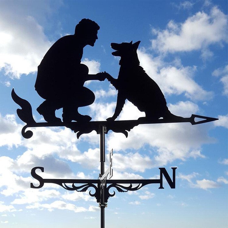 🔥LAST Sale 49% OFF - 🏠Weathervane