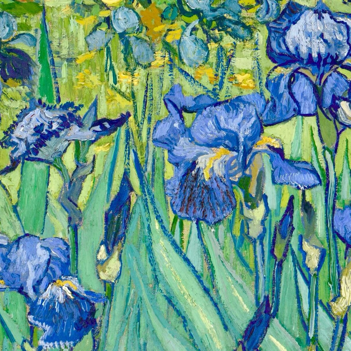 Masterwork | Azure Iris | The Blue Bloom Inspired by Vincent van Gogh’s Irises