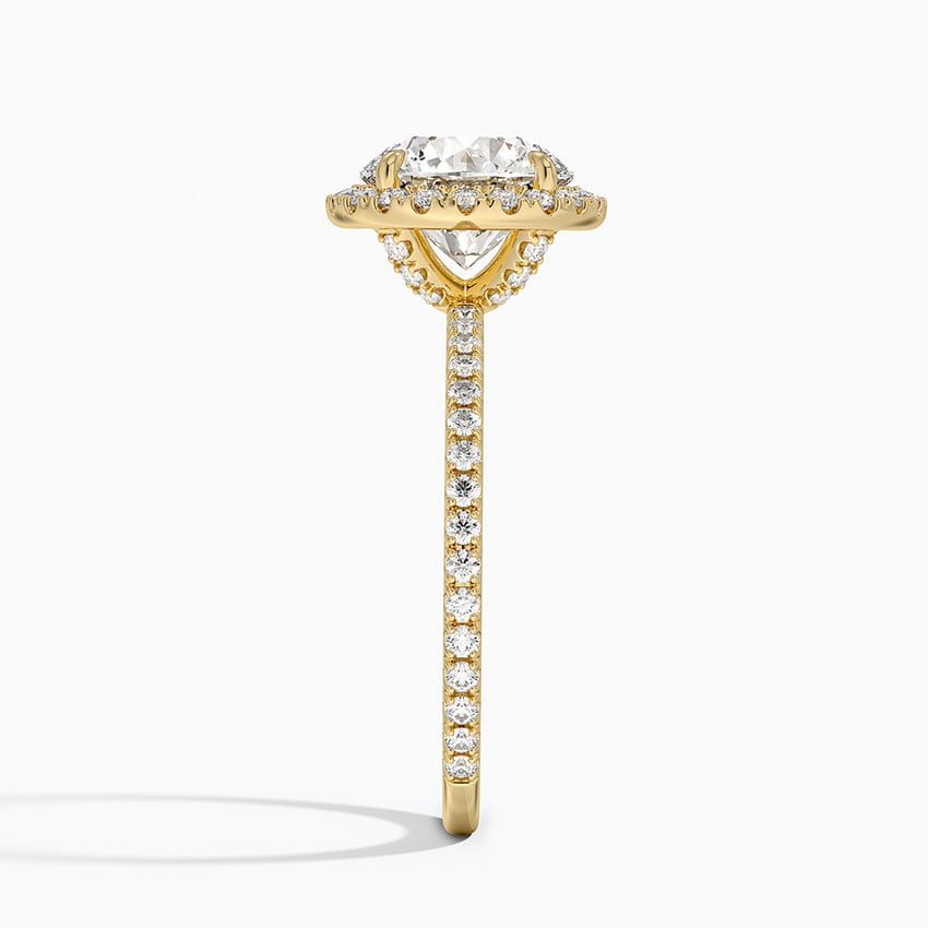 Bloom—Crowned Still Ring | Round Halo Diamond