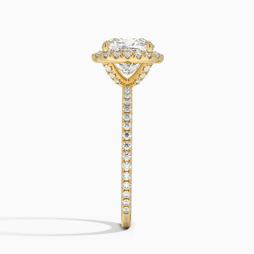 Ascend—Crowned Still Ring | Cushion Halo Diamond