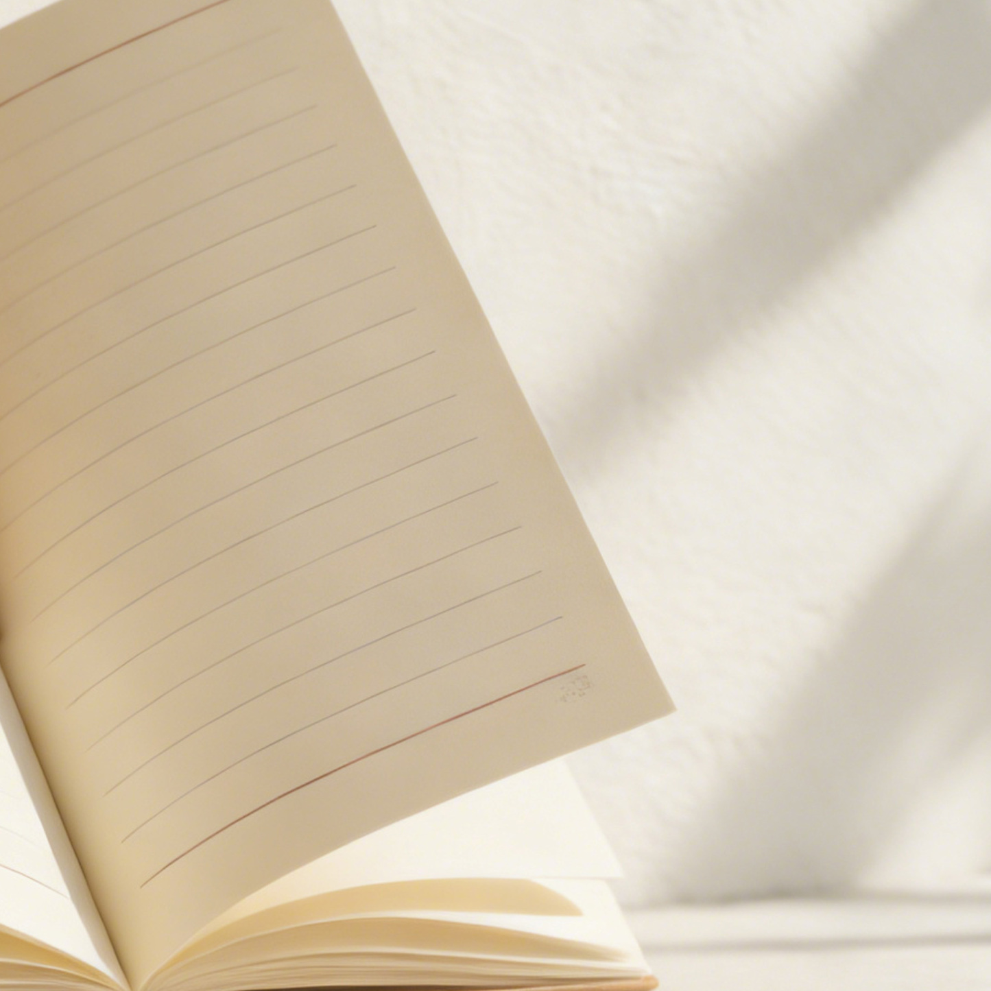 Bambuszcsomós dizájnú jegyzetfüzet (5 db)