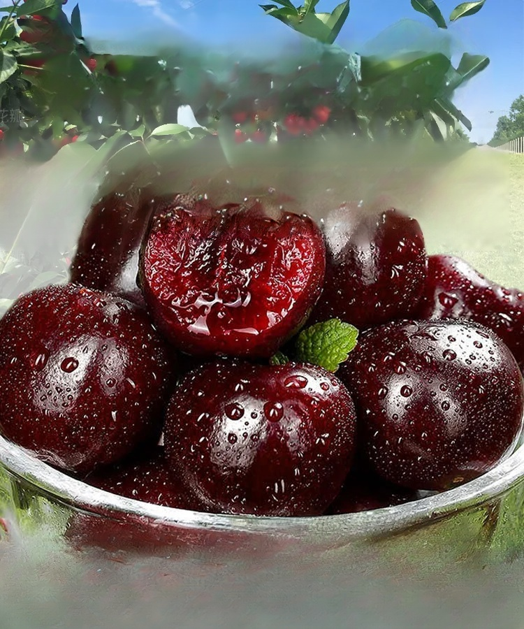 Żywotne nasiona Chelsea