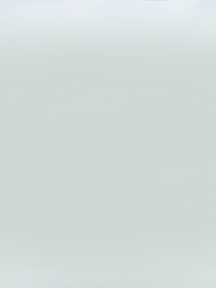 Czterowyjściowa ładowarka podróżna 【poprawa żywotności baterii telefonu】