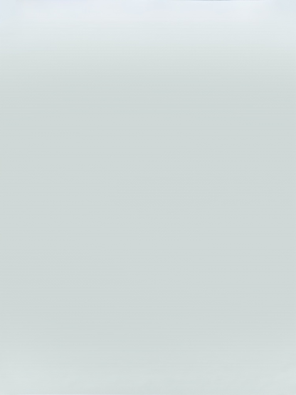 Czterowyjściowa ładowarka podróżna 【poprawa żywotności baterii telefonu】