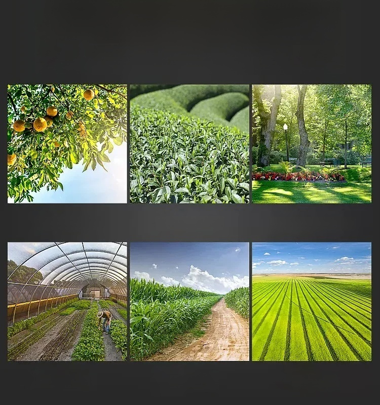 Pielenie i luzowanie kół kosiarek do trawy