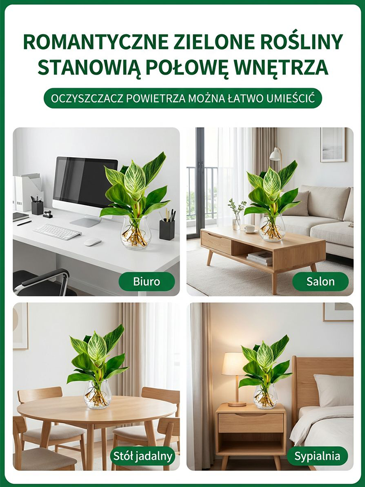  🚀 Zielony Filtr: Postaw 1 roślinę i filtruj toksyny, koniec z kurzem!