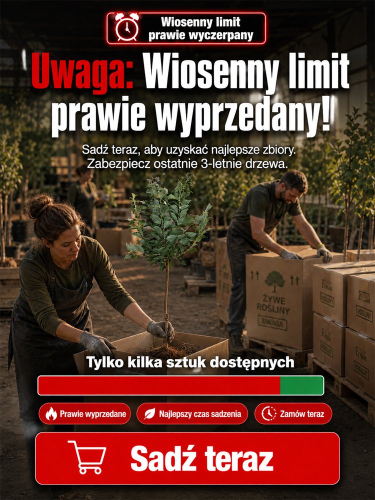 xq_01.jpg
