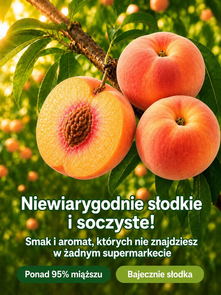 xq_08.jpg