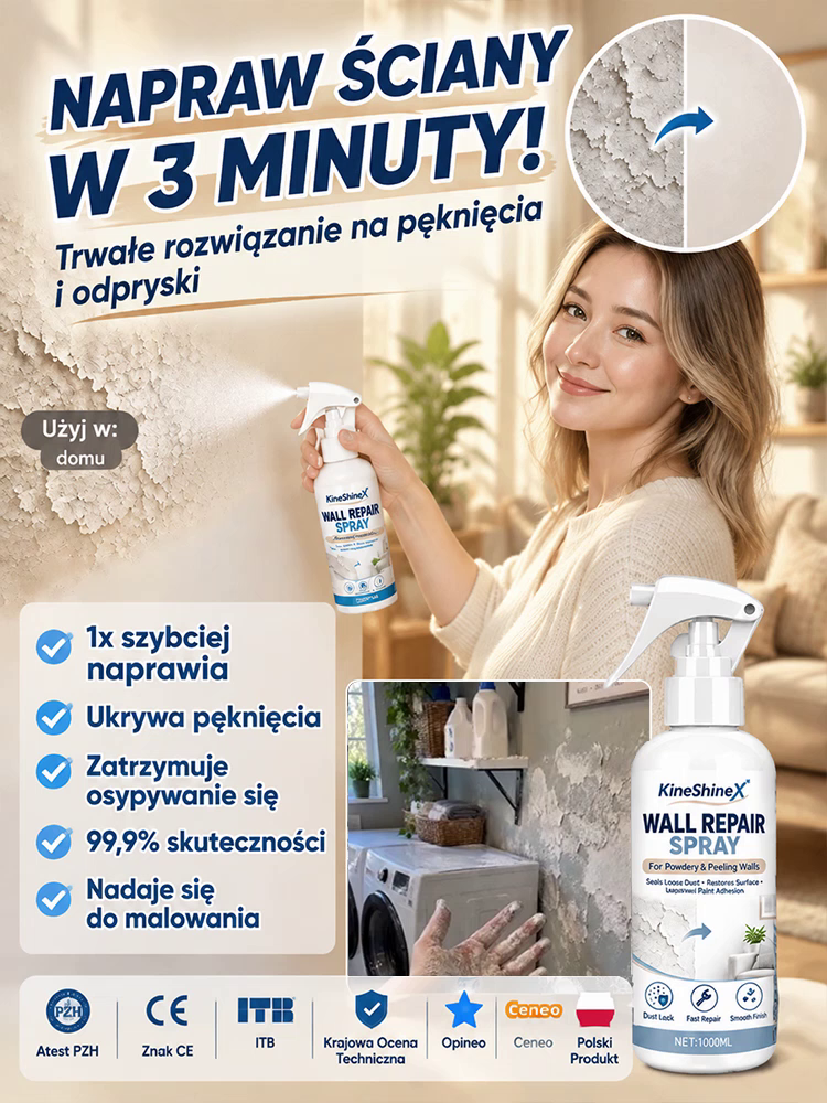 Przemysłowy spray do naprawy ścian i ochrony przed pleśnią