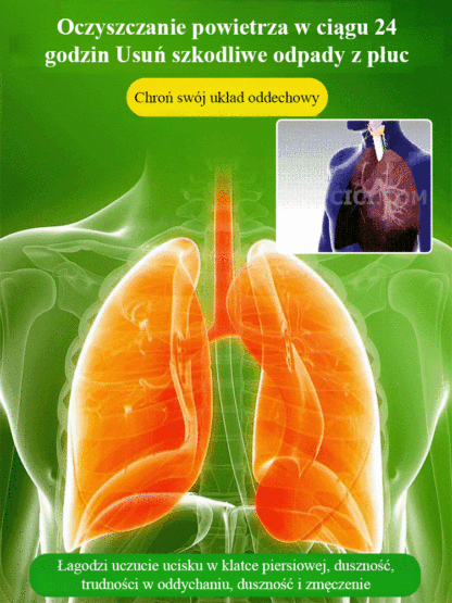 【Woda znaczy życie】Czteroletnia uprawa hydroponiczna brazylijskiego drzewa szczęścia【Szczęście i fortuna!】