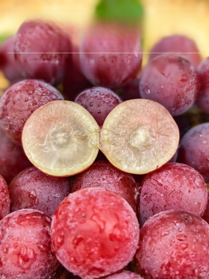 【🍇🍷Nowa odmiana winogron ✅ Wskaźnik przeżywalności do 99,99%】Posadź teraz, a w przyszłym miesiącu możesz cieszyć się ogromnym morzem winogron!👍Przetrwają, dopóki jest woda!🔥⏱️Jedno sadzenie pozwala na coroczne zbiory, idealne dla początkujących.