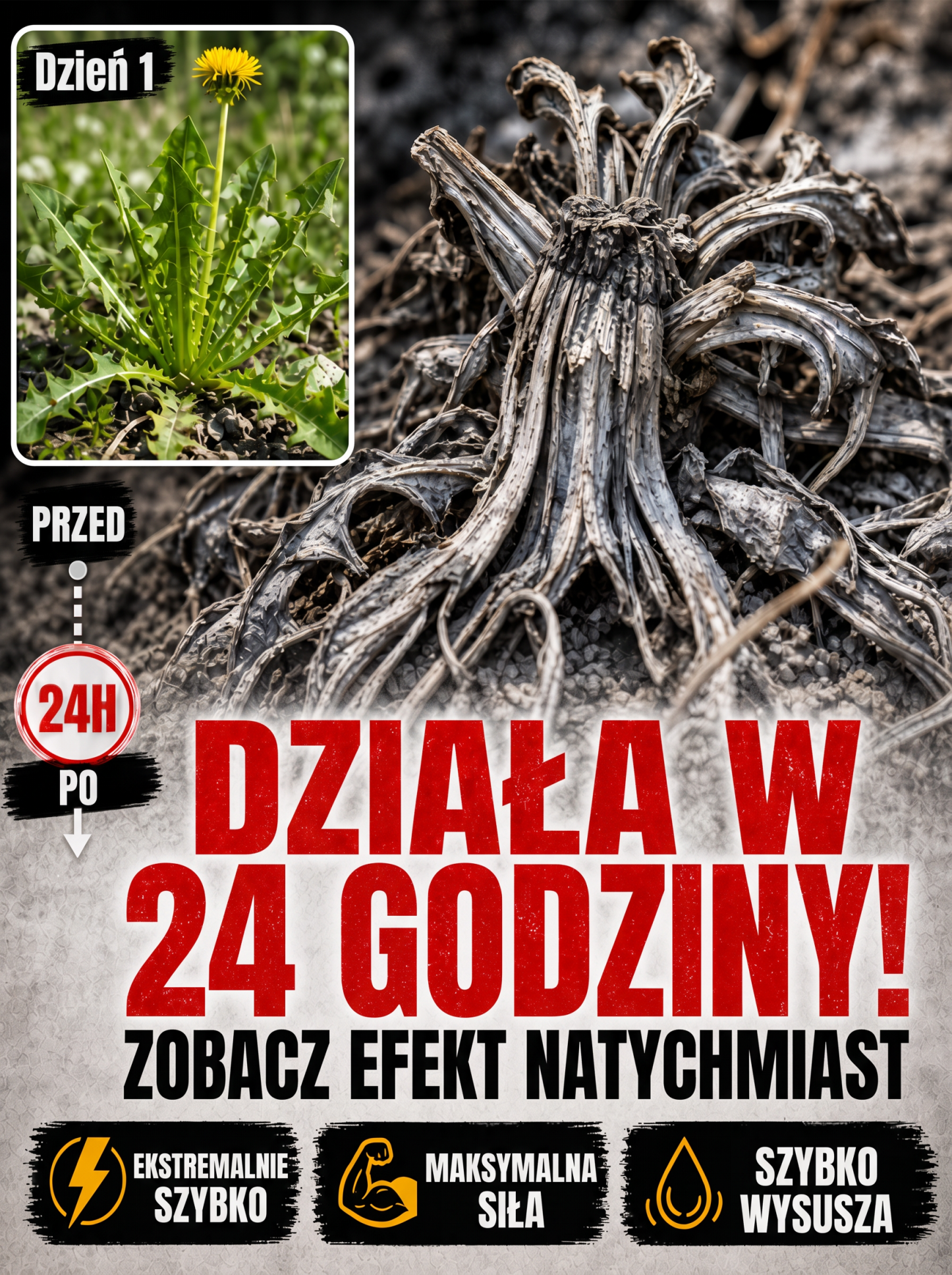 Wyrywanie chwastów na klęczkach to przeszłość! Ekologiczny preparat bez glifosatu (-50%)