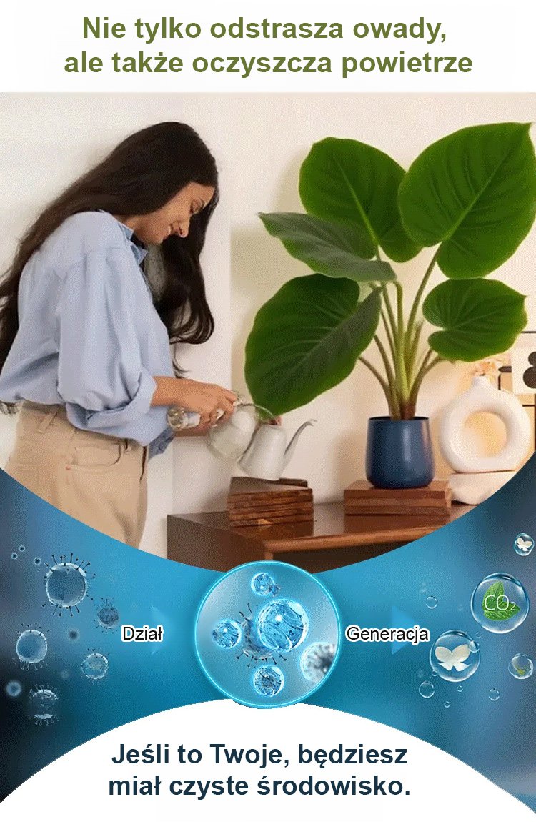 翻译件-HFH-稀有彩叶玉簪花种子-1286342-系统_25.jpg