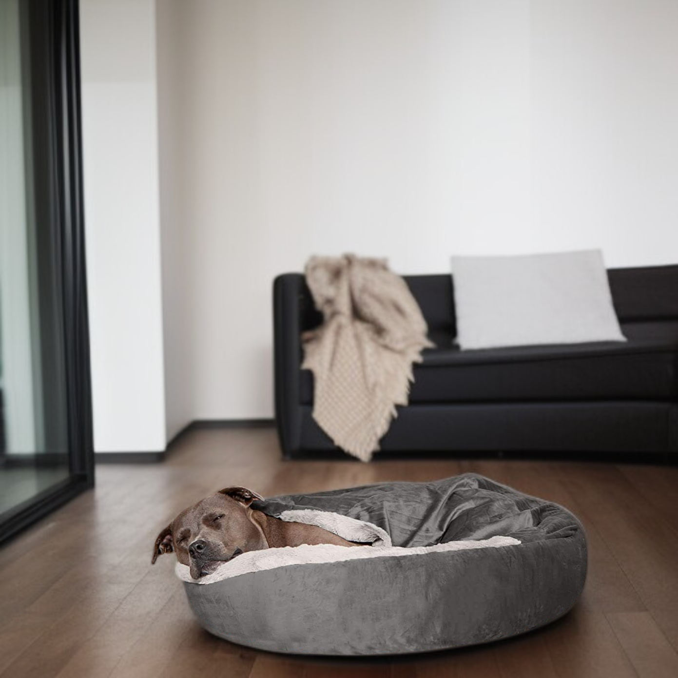 Winter-proof dog shelter for cold weather