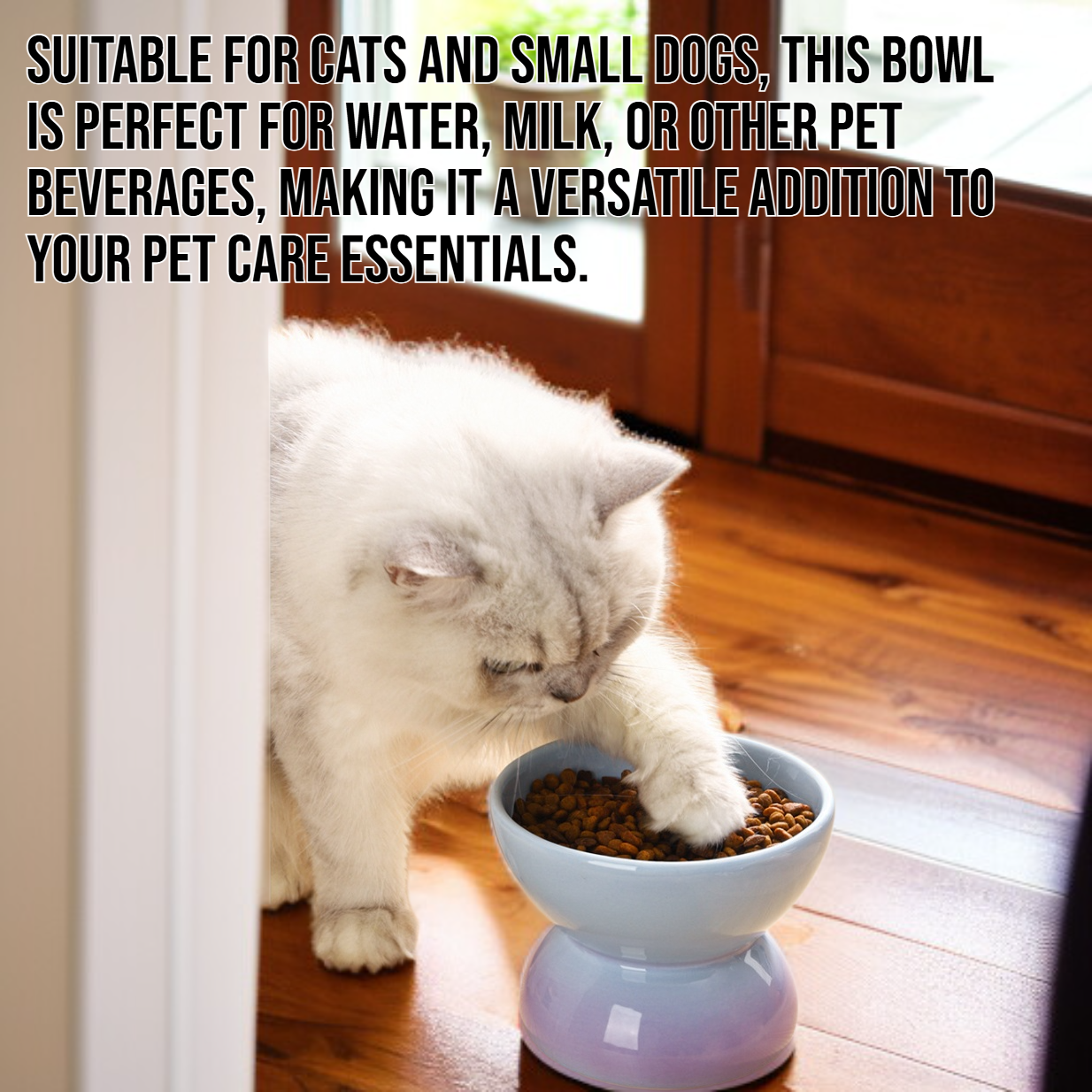 Stylish ceramic pet water bowl with flat mouth design