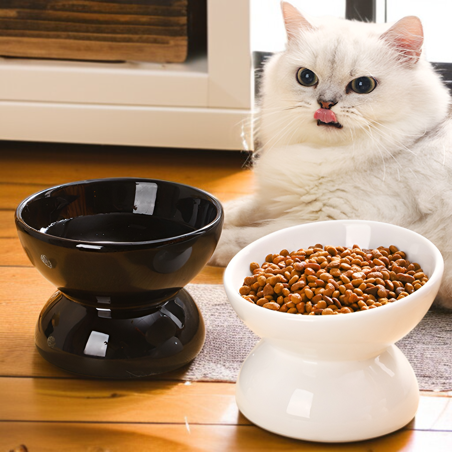 Durable ceramic bowl for pet hydration