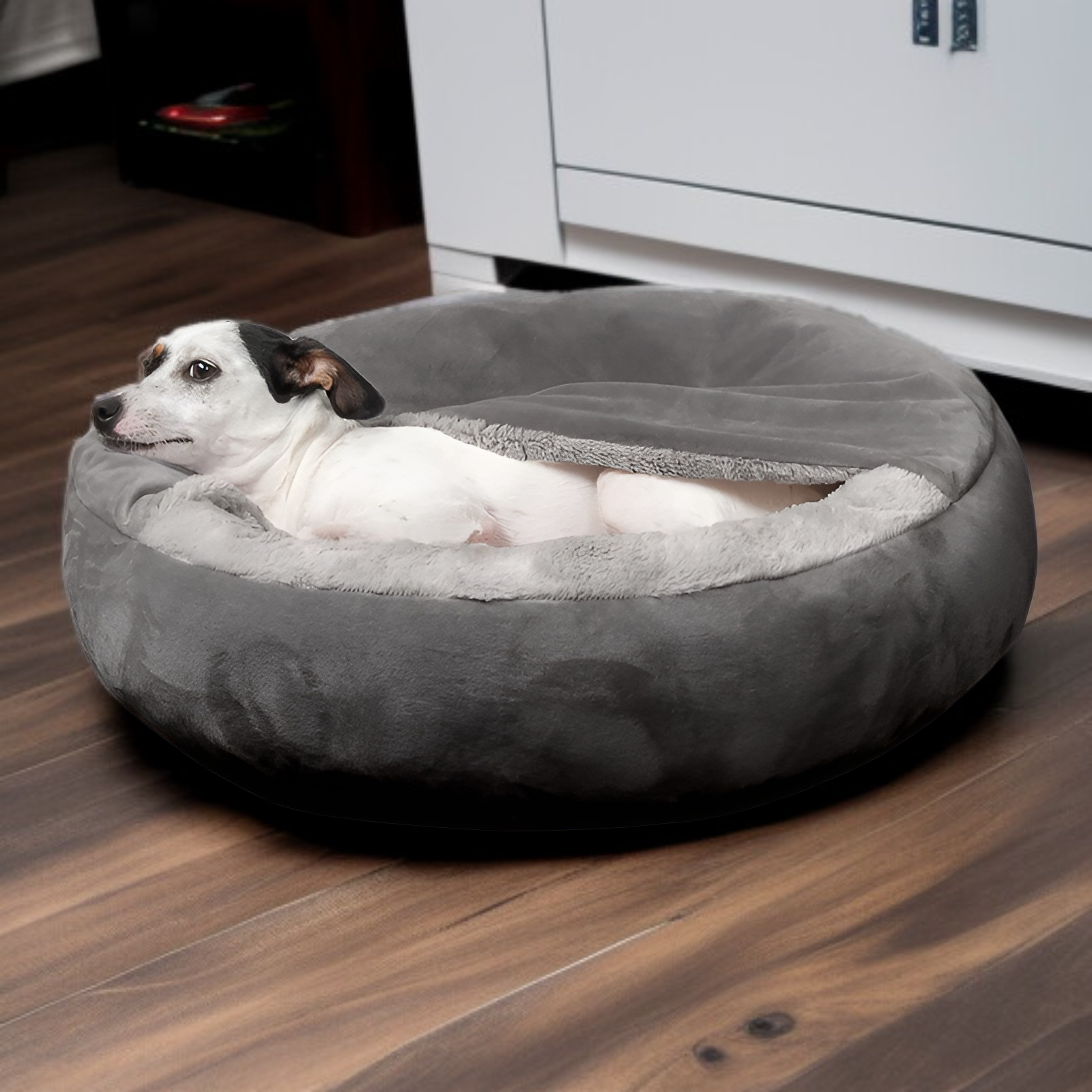 Winter Semi-Enclosed Dog Kennel