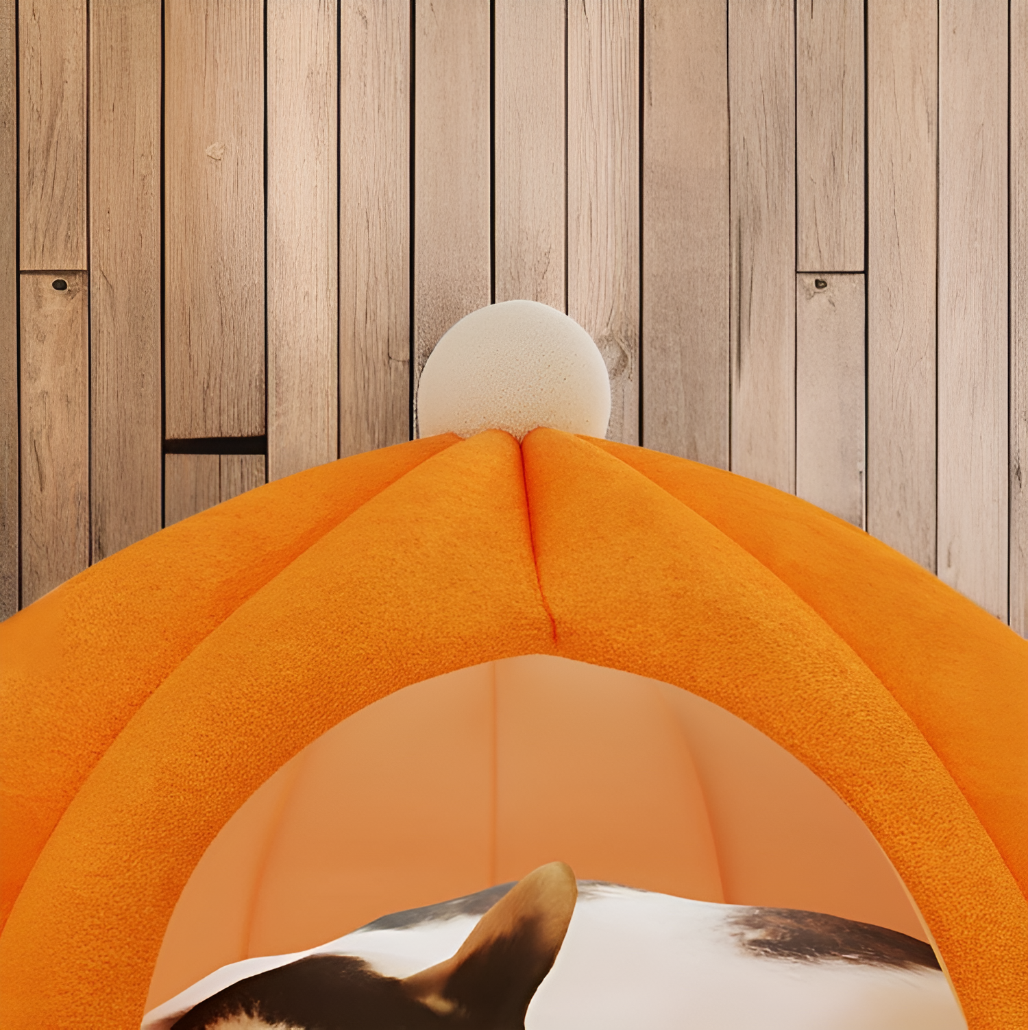 Comfortable cat bed in pumpkin style