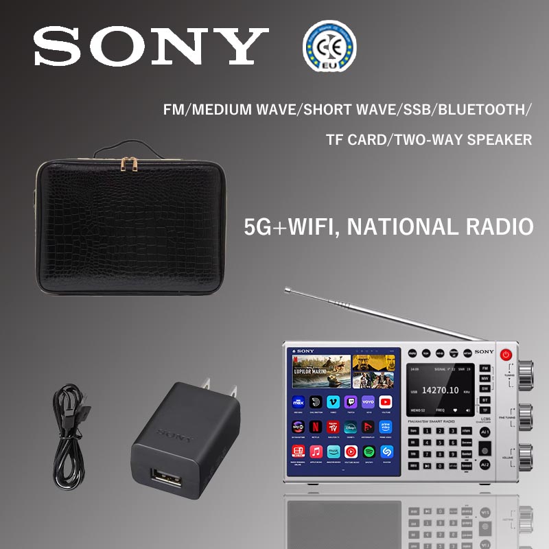 Noul radio multifuncțional Sony (filme online, muzică online, posturi TV, radio)