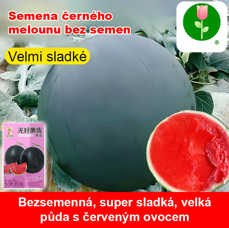 Vysoce výnosná semena vodního melounu bez pecky s černou slupkou