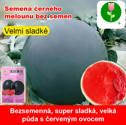Vysoce výnosná semena vodního melounu bez pecky s černou slupkou