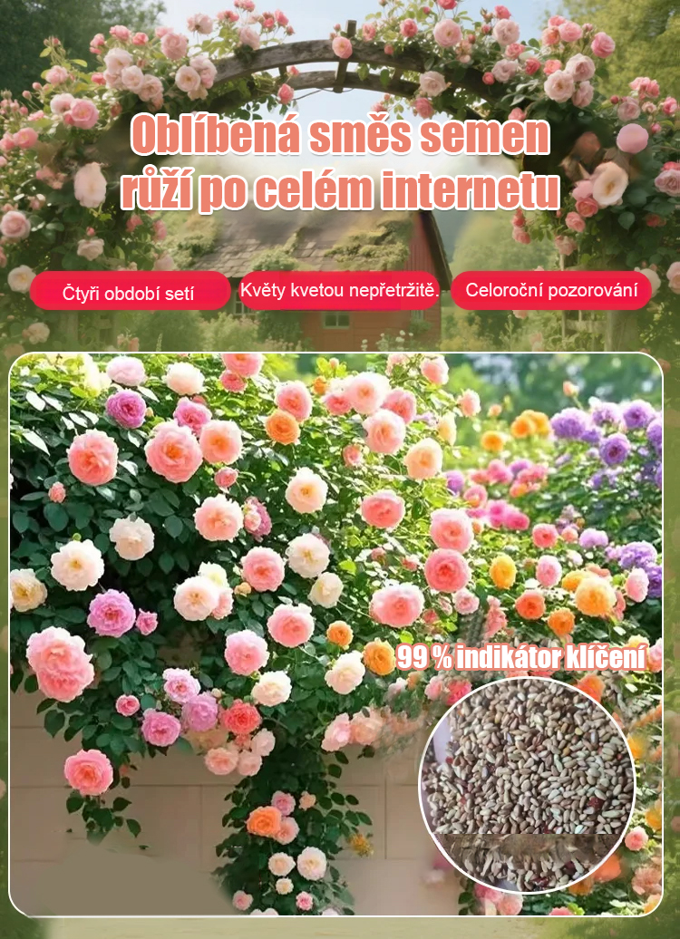 【Doručení hnojiva】balíček semen růží, které pokryjí celou zahradu, popínají zdi a dvůr.