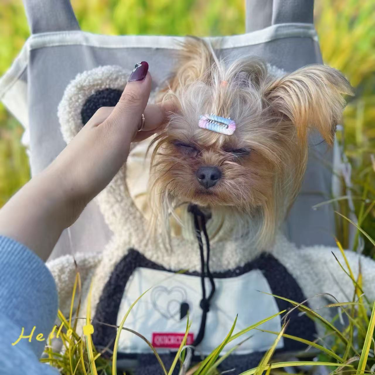 Pet Carrier Bag for Cats Crossbody Handheld Cat Bag Small Dog Head-Exposed Shoulder Bag