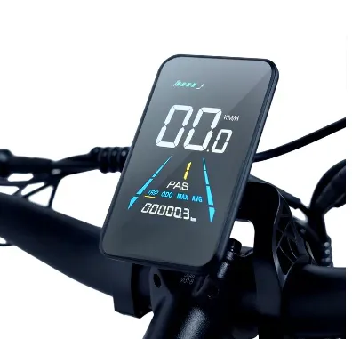 E-Bike Instrument