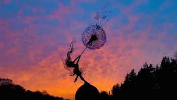 🧚Wonderland-like Garden Decoration💟