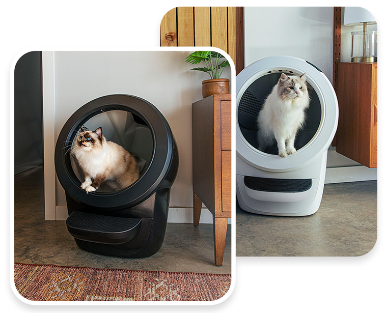 💝clearance sale 🐱Wifi automatic intelligent cat litter box