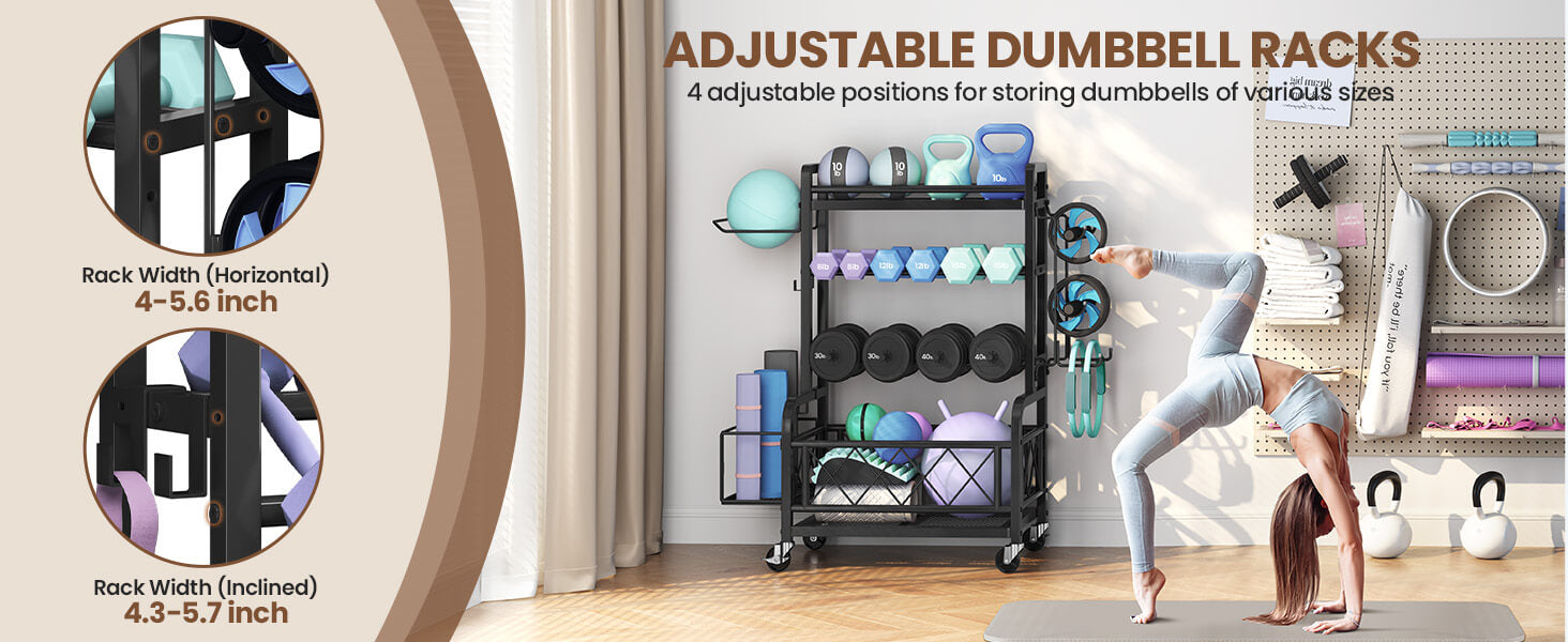 dumbbell rack and dumbbells
