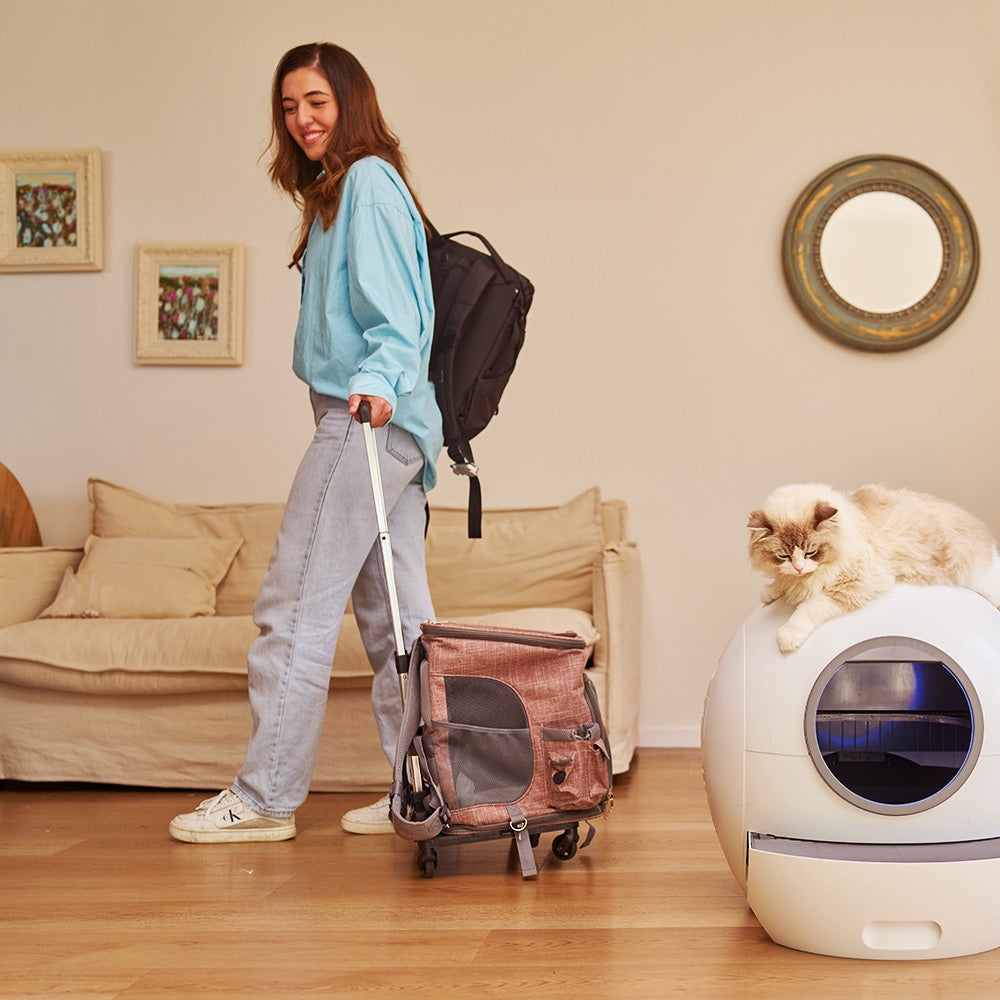 💝Last day of clearance💝[ free shipping]