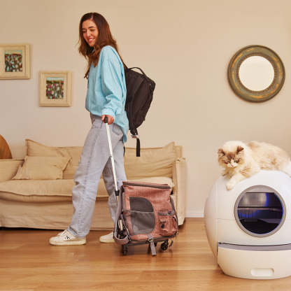 💝Last day of clearance💝[ free shipping]