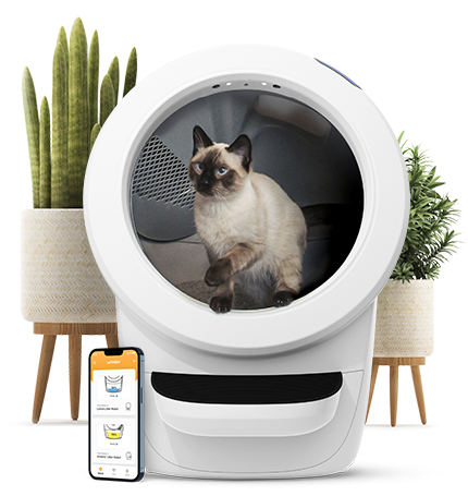 💝 Last Day For Clearance 🐱Wifi automatic intelligent cat litter box