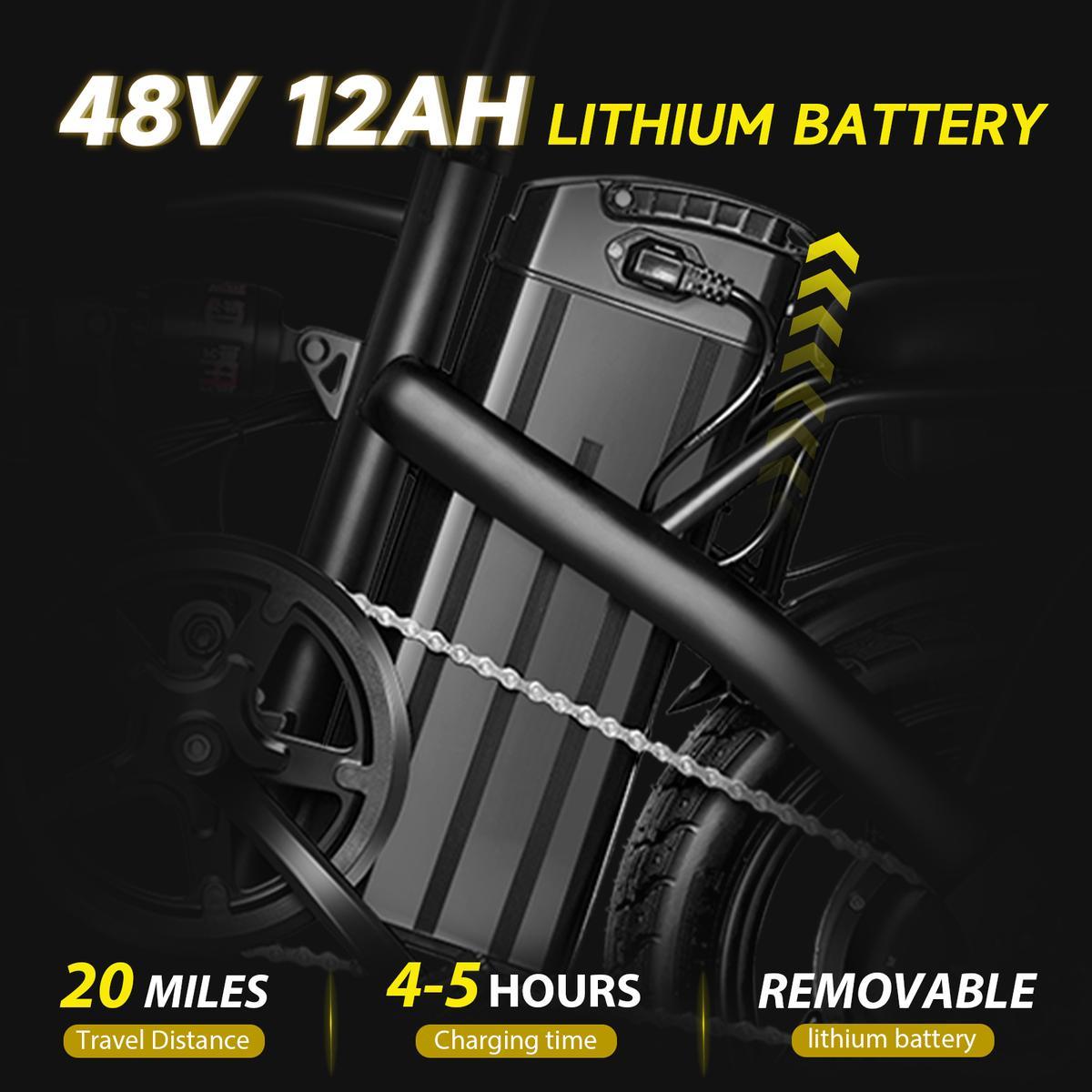  Folding Electric Bike for Adults