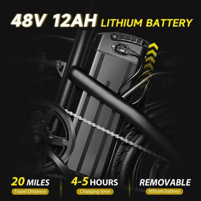  Folding Electric Bike for Adults